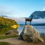 From Ljubljana: Bled & Bohinj Day Trip + Local Picnic Treat - Why This Tour Delivers Great Value