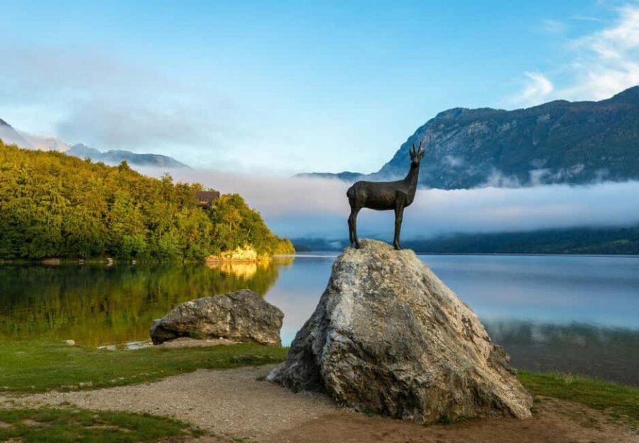 From Ljubljana: Bled & Bohinj Day Trip + Local Picnic Treat - Why This Tour Delivers Great Value