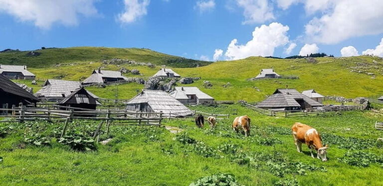From Ljubljana: Velika Planina Guided Hike - Who Will Love This Hike?
