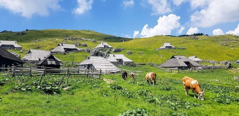 From Ljubljana: Velika Planina Guided Hike - Who Will Love This Hike?