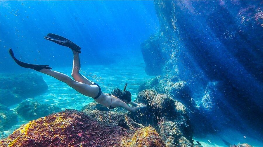 From Lloret de Mar: Fenals Beach Sunrise Kayaking Tour - An Authentic Sunup Experience on the Water