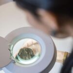 From location: Truffle farm visit, culinary workshop, meal - Practical Details and Tips