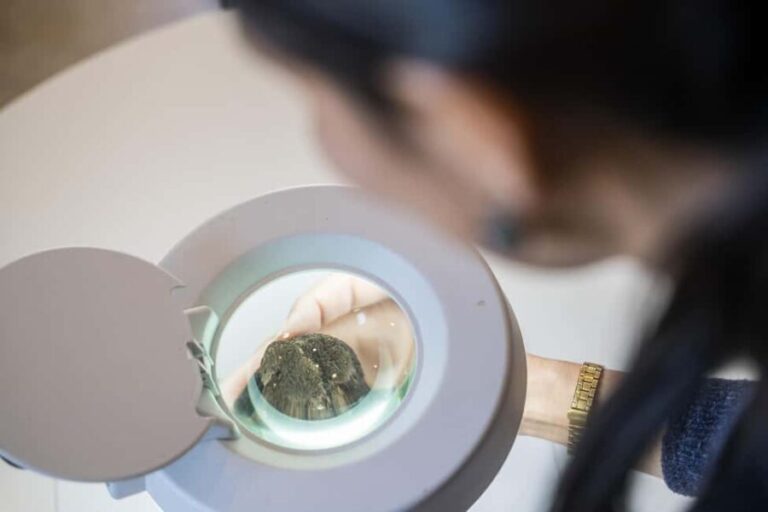 From location: Truffle farm visit, culinary workshop, meal - Practical Details and Tips