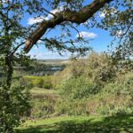 From London: Private Guided Walking & Fine Dining Tour - Analyzing the Value and Suitability