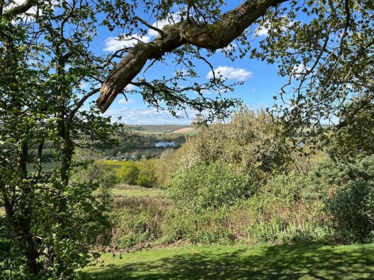 From London: Private Guided Walking & Fine Dining Tour - Analyzing the Value and Suitability  