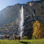 From Lucerne: Day Trip to Grindelwald & Lauterbrunnen - Practical Details and Logistics