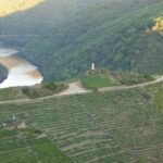 From Lugo: Half day excursion to Ribeira sacra - The Sum Up