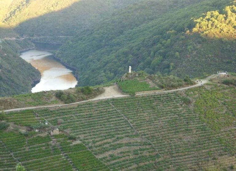 From Lugo: Half day excursion to Ribeira sacra - The Sum Up