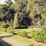 From Lugo: Half-day excursion to the Viladonga Hillfort - Following the River Miño: Legends and Landscapes