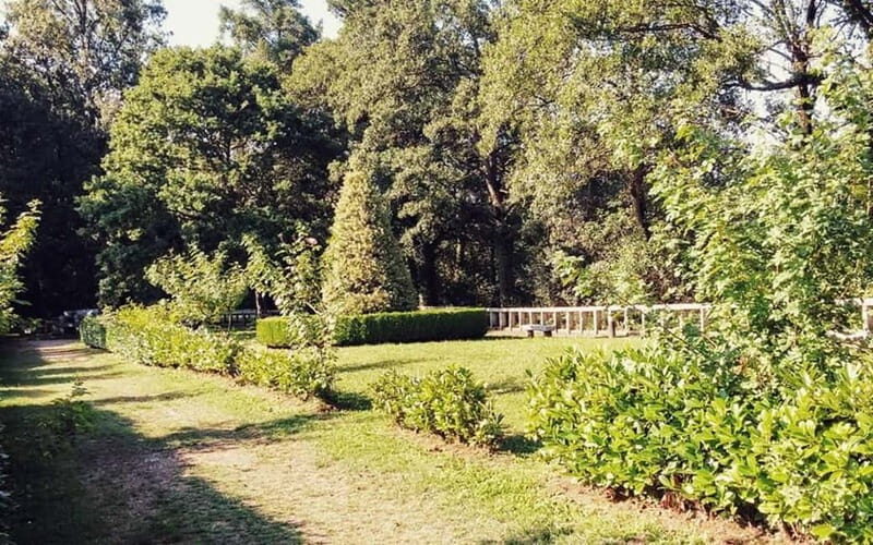 From Lugo: Half-day excursion to the Viladonga Hillfort - Following the River Miño: Legends and Landscapes