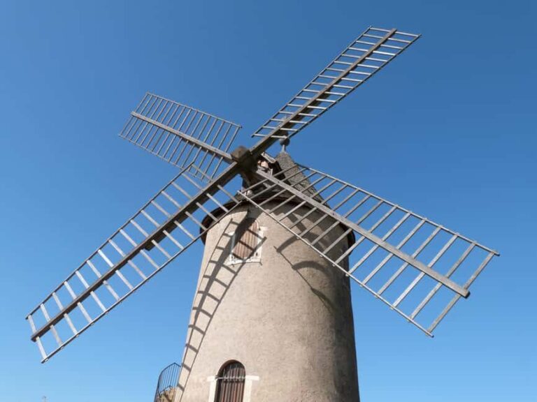 From Lyon: Beaujolais Wine Route Half-Day Tour - Why This Tour Offers Good Value