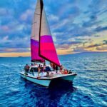 From Maalaea: Whale Watching Catamaran Cruise with Drinks - What You’ll See and Learn