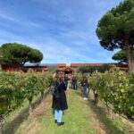 From Madrid: Ribera del Duero Wine Tour with Local Lunch - Who Is This Tour Best For?
