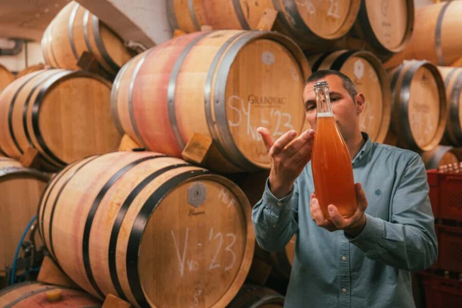 From Makarska Riviera : Wine Tasting Grabovac Tour - A Closer Look at the Itinerary and Experience