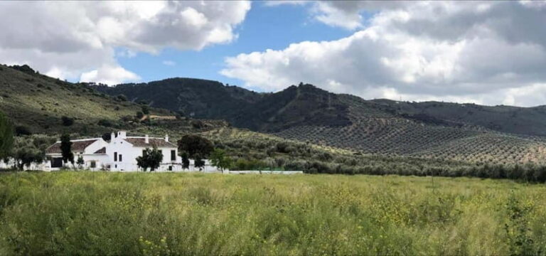 From Malaga: Antequera Heritage and Oil Mill land - The Practical Side: What to Expect