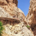 From Málaga: Caminito del Rey Day Trip & Guided Tour - What’s Included & What to Prepare
