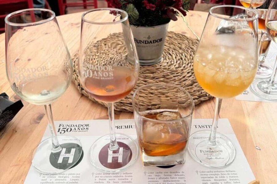 From Marbella: Cadiz and Jerez Private Daytrip - The Value of the Experience