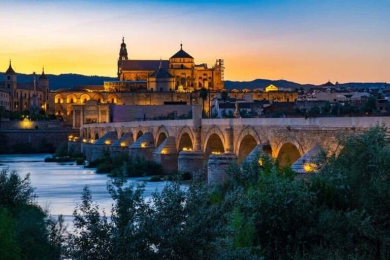 From Marbella: Cordoba Private Full-Day Trip - Guided Tour of Córdoba’s Highlights