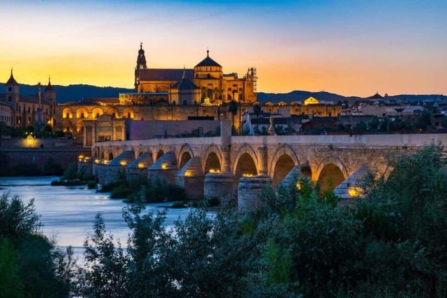 From Marbella: Cordoba Private Full-Day Trip - Guided Tour of Córdoba’s Highlights