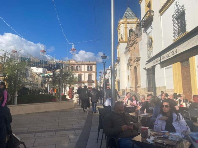 From Marbella: Ronda private tour, transportation, café, bullring, tapas, drinks - Why This Tour Is a Great Choice