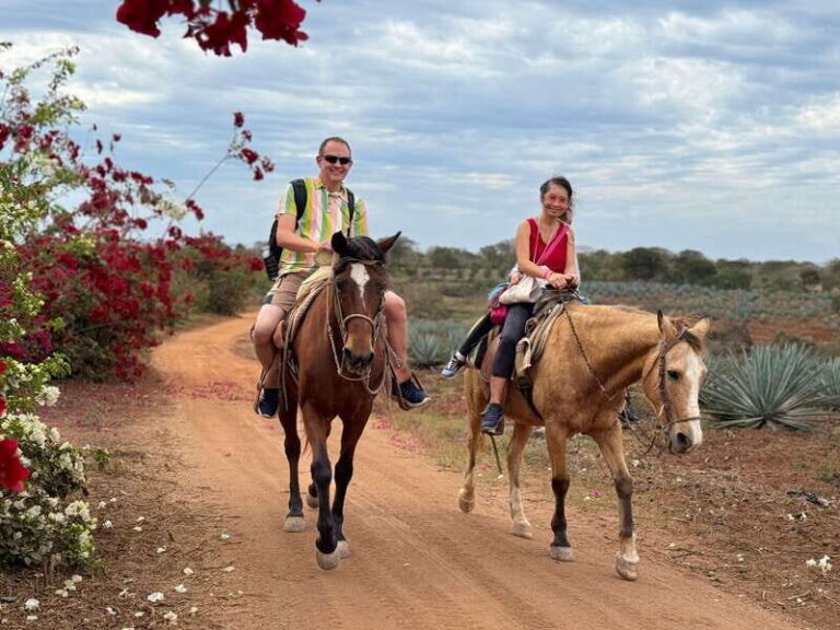From Mazatlan: ATV & Horse Back riding with Tequila Tasting - The Experience in Context