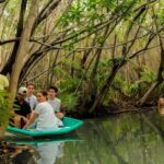 From Merida: Beach, Mangrove and something more - Transportation and Group Size