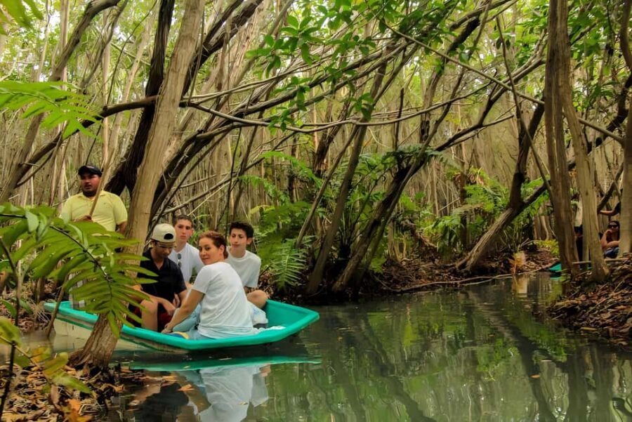 From Merida: Beach, Mangrove and something more - Transportation and Group Size