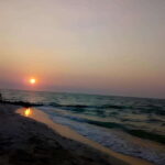 From Mérida: Beach Tour - What to Expect and Practical Tips