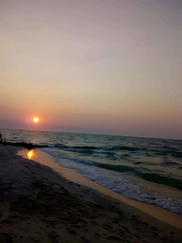 From Mérida: Beach Tour - What to Expect and Practical Tips