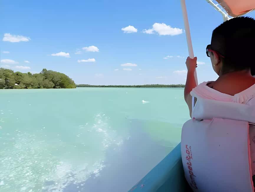 From Merida: Celestun, flamingos and beach - Detailed Breakdown of the Itinerary