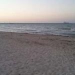 From Mérida: Mayan Dzibilchaltún & Progreso Beach Tour - The Experience: Practical Details That Matter