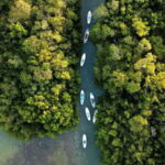 From Mérida: Paddel board, Sunshine and beach - What to Expect and Practical Details