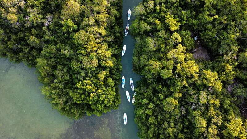 From Mérida: Paddel board, Sunshine and beach - What to Expect and Practical Details