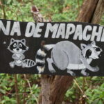 From Merida: Transfer to Celestun and Sisal - Who Will Love This Tour?