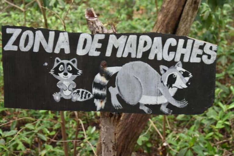 From Merida: Transfer to Celestun and Sisal - Who Will Love This Tour?