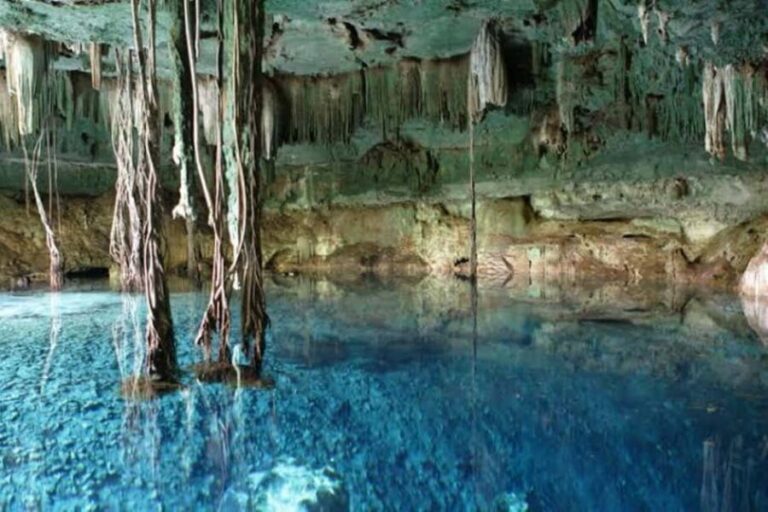 From Mérida:Uxmal and amazing cenotes guided tour with lunch - Practical Details: Transport, Timing, and Group Size