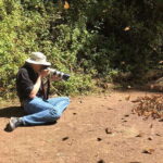 From Mexico City: 7-Day Monarch Butterfly Tour - What Makes This Tour Stand Out?