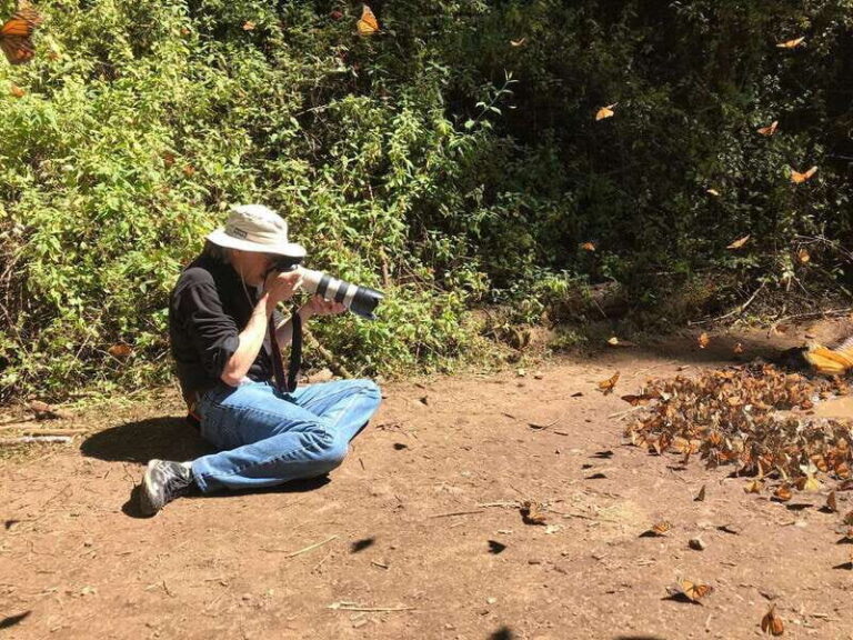 From Mexico City: 7-Day Monarch Butterfly Tour - What Makes This Tour Stand Out?  