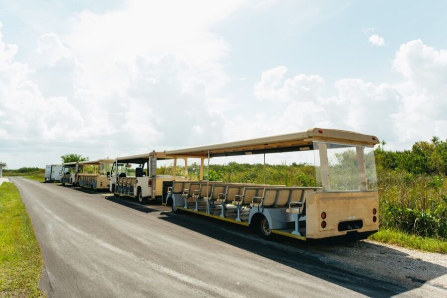 From Miami: Everglades Airboat Ride and Nature Walk - Analyzing the Value and Why It’s Worth It