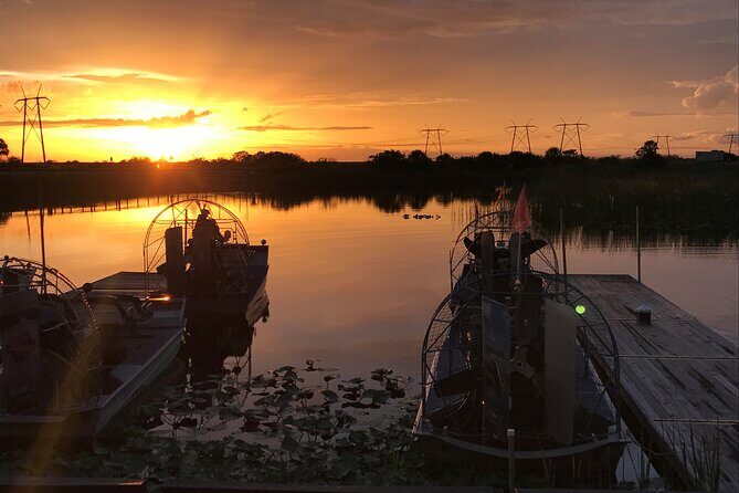 From Miami: Everglades at Night with Airboat and Alligators Tour - Who Should Consider This Tour?