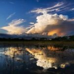 From Miami: Everglades at Night with Guided Airboat Tour - Why This Tour Offers Good Value