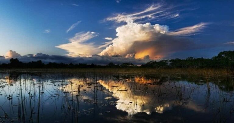 From Miami: Everglades at Night with Guided Airboat Tour - Why This Tour Offers Good Value