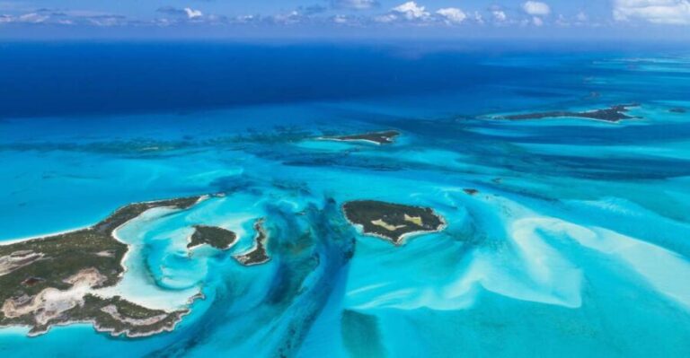 From Miami: Roundtrip Bimini Ferry with Hotel Transfers - What the Reviews Say: Real Experiences