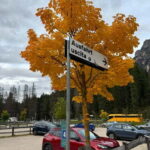 From Milan: Harley Davidson motorcycle tour in 5 countries unique experience! - Who Should Consider This Tour?