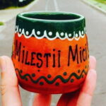 from Moldova: Manuc Bei mansion -Milesti Mici wine cellar - What Makes This Tour Stand Out?