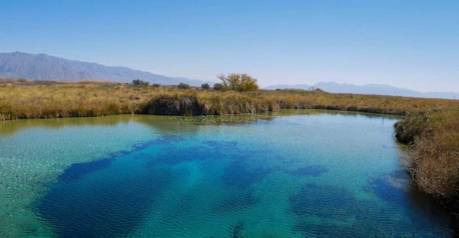 From Monterrey: Tour a Cuatro Ciénegas one day tour - What Makes This Tour Stand Out?  
