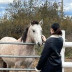 From Montpellier: Visit of Camargue and Aigues-Mortes - Final Thoughts: Who Will Love This Tour?