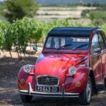 From Montpellier: Winery Tour in a Vintage Citroën 2CV - The Value Proposition and Practical Considerations