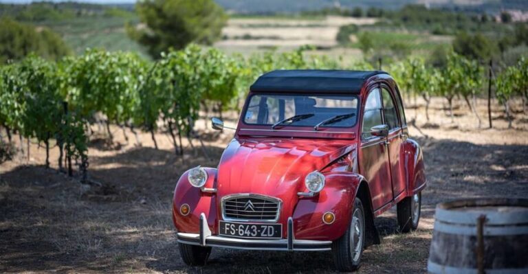 From Montpellier: Winery Tour in a Vintage Citroën 2CV - The Value Proposition and Practical Considerations