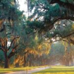 From Myrtle Beach: Charleston Day Trip, Boone Hall & Cruise - Practical Aspects and Value for Money